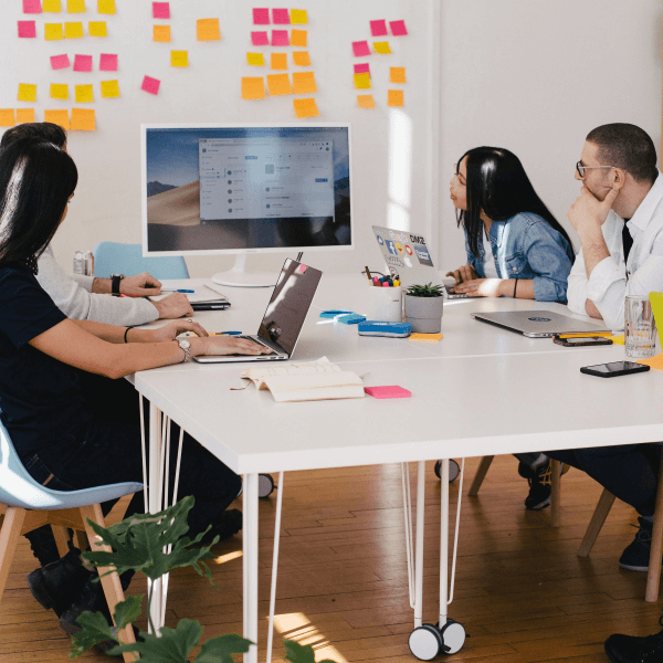 Acerca de Neve Marketing Agency 16